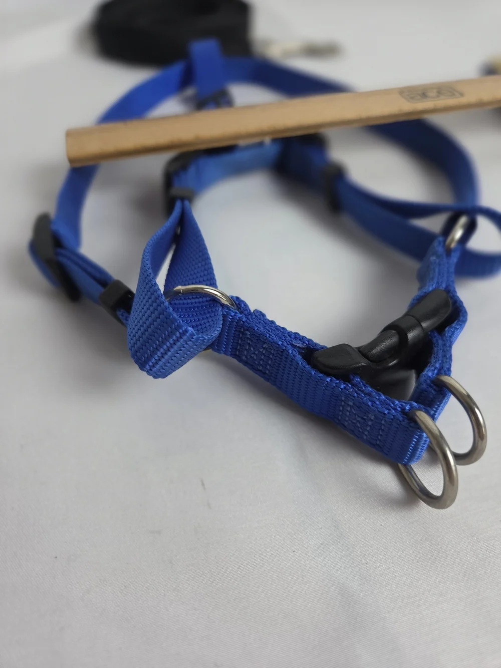 Blue Adjustable Dog Harness and Leash Set